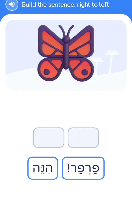 בונים משפט